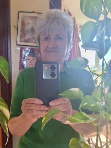 Erika, 66 éves székesfehérvári társkereső nő profil fotója