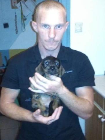 györgy, 36 éves dorogi társkereső férfi profil fotója