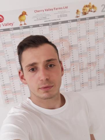 Márk, 31 éves kiskunfélegyházi társkereső férfi profil fotója