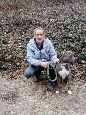 Totya, 63 éves Budapest VIII. kerületi társkereső férfi profil fotója