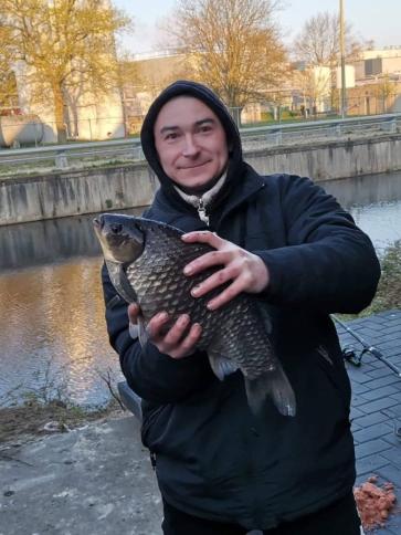 Ferenc, 39 éves tállyai társkereső férfi profil fotója
