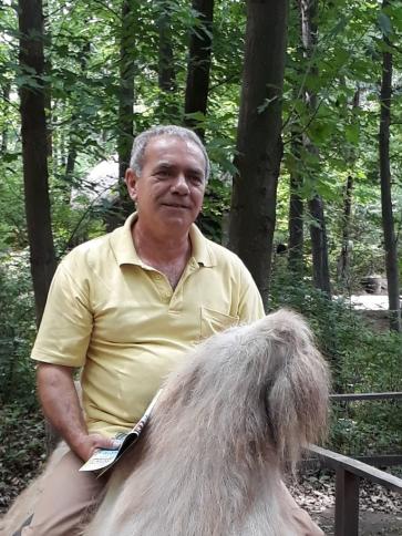 Zoltán, 64 éves álmosdi társkereső férfi profil fotója