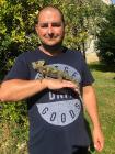 György 3. párkereső fotója