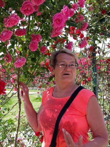Éva, 74 éves fertőszentmiklósi társkereső nő profil fotója