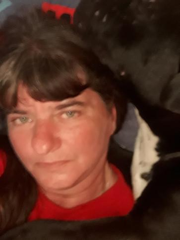 Ágnes, 59 éves szebényi társkereső nő profil fotója