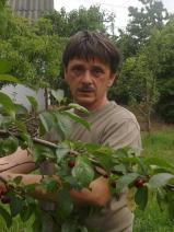 Csaba társkereső fotója