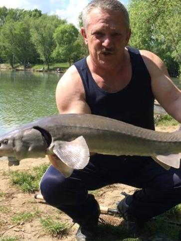 István, 58 éves szentpéterfai társkereső férfi profil fotója