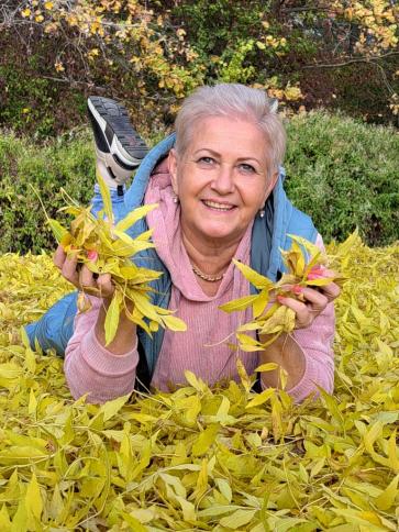 Juci, 60 éves várpalotai társkereső nő profil fotója