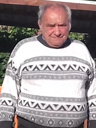István, 80 éves tarnamérai társkereső férfi profil fotója
