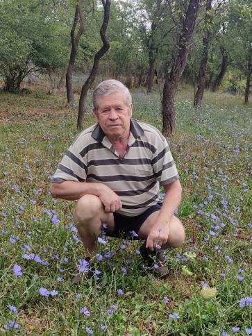 Márton, 72 éves romániai társkereső férfi profil fotója