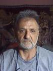 Tibor 8. párkereső fotója