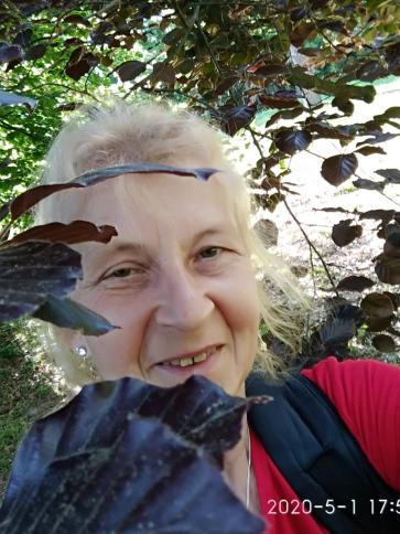 Timea, 60 éves bonyhádi társkereső nő profil fotója