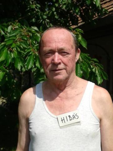 János, 79 éves nagysápi társkereső férfi profil fotója