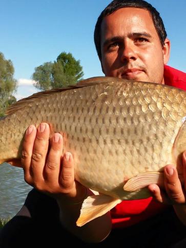 Roland, 42 éves balatonújlaki társkereső férfi profil fotója