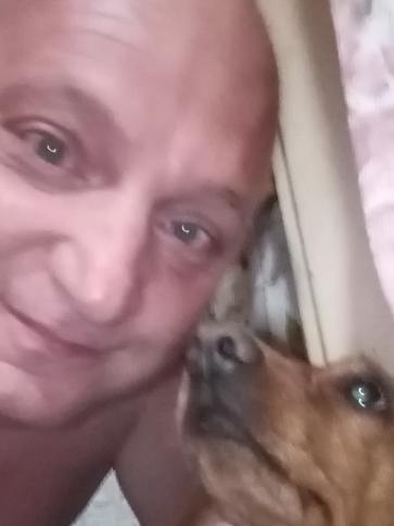 Mihály, 53 éves tótkomlósi társkereső férfi profil fotója