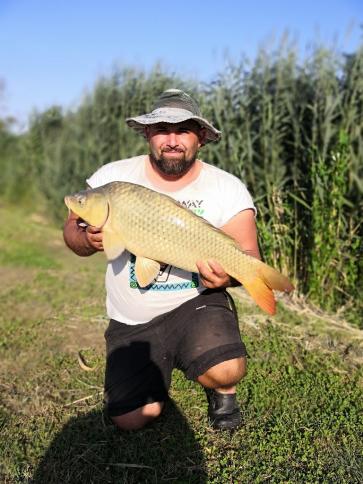 Balu, 31 éves algyői társkereső férfi profil fotója