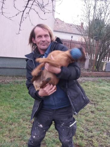János, 50 éves balatonfőkajári társkereső férfi profil fotója