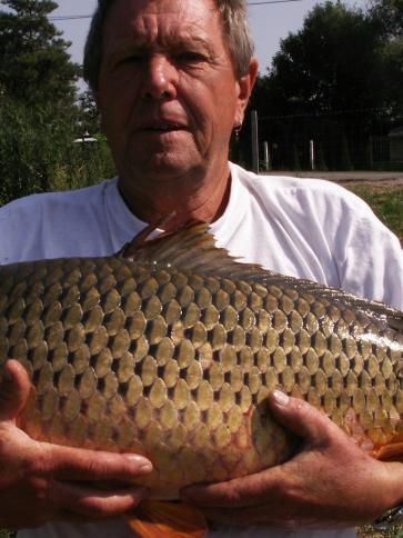Miklós, 78 éves poroszlói társkereső férfi profil fotója