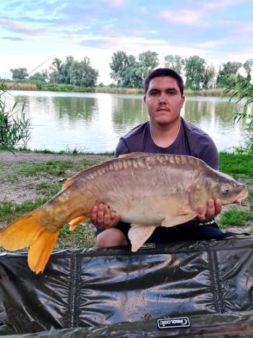 József, 26 éves siklósi társkereső férfi profil fotója