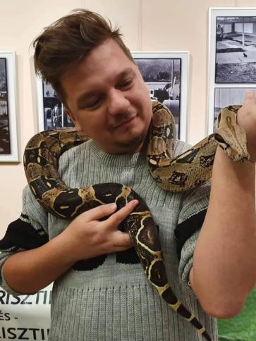 Norbi, 31 éves érdi társkereső férfi profil fotója