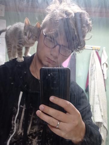 Ricsi, 23 éves csikóstőttősi társkereső férfi profil fotója