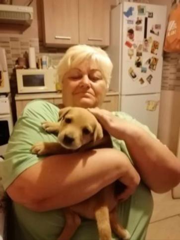 Erika, 70 éves hatvani társkereső nő profil fotója