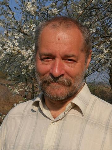 Misi, 65 éves bajánsenyei társkereső férfi profil fotója