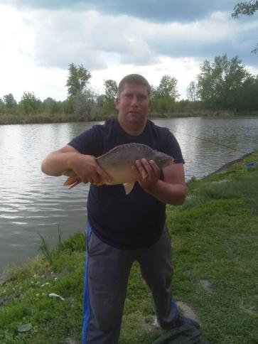 Ferenc, 44 éves székesfehérvári társkereső férfi profil fotója
