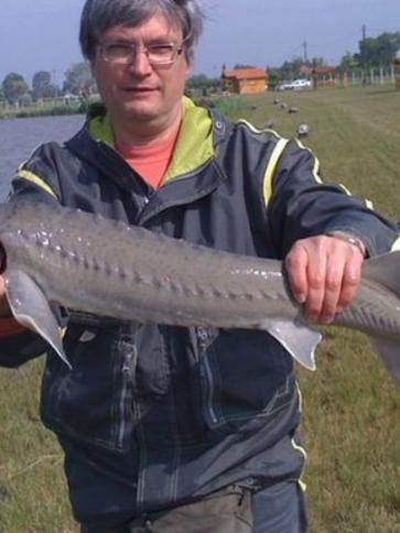 Tamás, 64 éves solymári társkereső férfi profil fotója