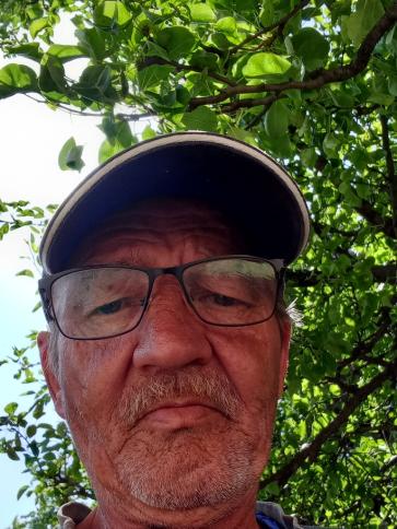 István, 64 éves kincsesbányai társkereső férfi profil fotója