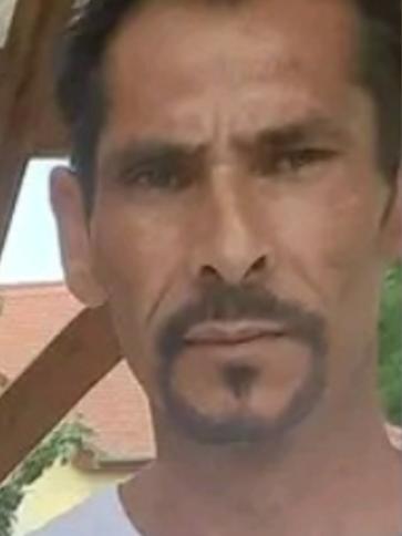 sándor, 48 éves hosszúpályi társkereső férfi profil fotója