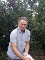 István társkereső fotója