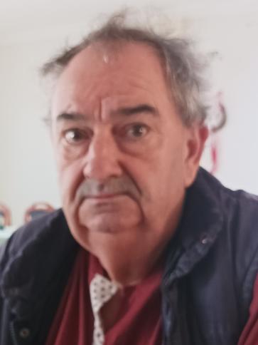 Ferenc, 72 éves nagysápi társkereső férfi profil fotója