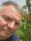 István profilképe – Sárbogárd