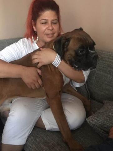 Szilvi, 50 éves dunaújvárosi társkereső nő profil fotója