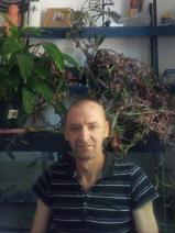 István társkereső fotója