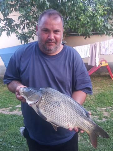 Gyula