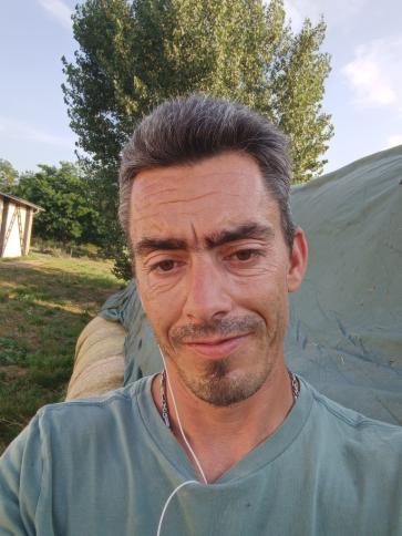 Gyula