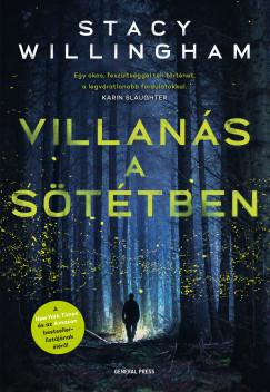 Villanás a sötétben (Stacy Willingham) könyv