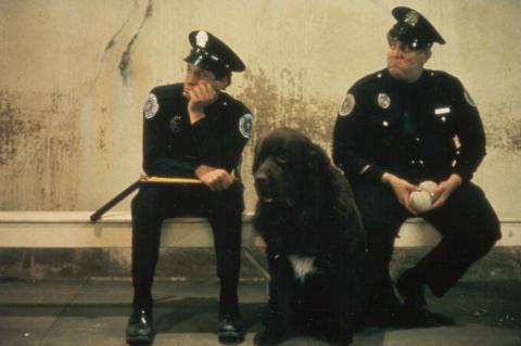 Rendőrakadémia film