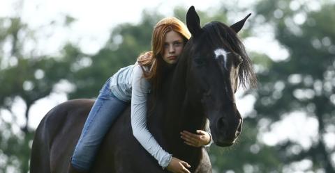 A menedék film