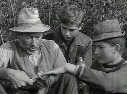 Tüskevár film