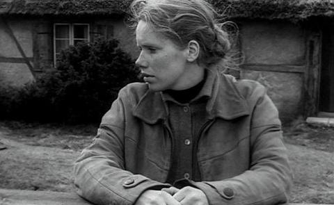 Farkasok órája film