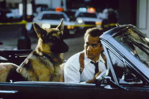 Kutyám, Jerry Lee film