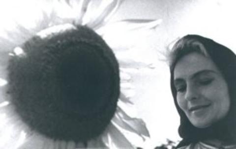 Ének a búzamezőkről film