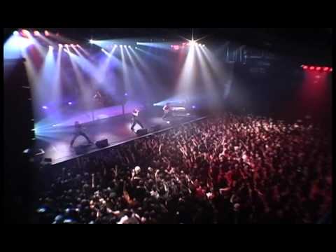 were wolf? youtube