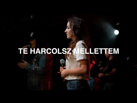 PZM  youtube