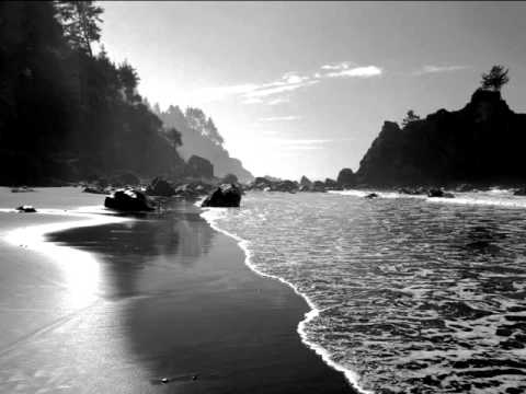 Gojira - The art of dying youtube