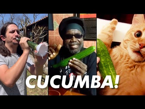 vicces youtube