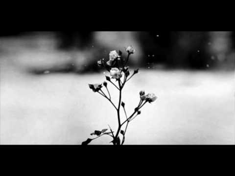Chopin-utanerzes youtube